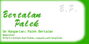 bertalan palek business card